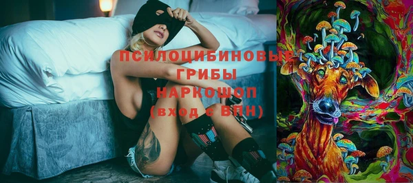 ПСИЛОЦИБИНОВЫЕ ГРИБЫ Аркадак